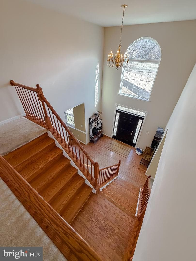 3770 Taylor Lane photo 19