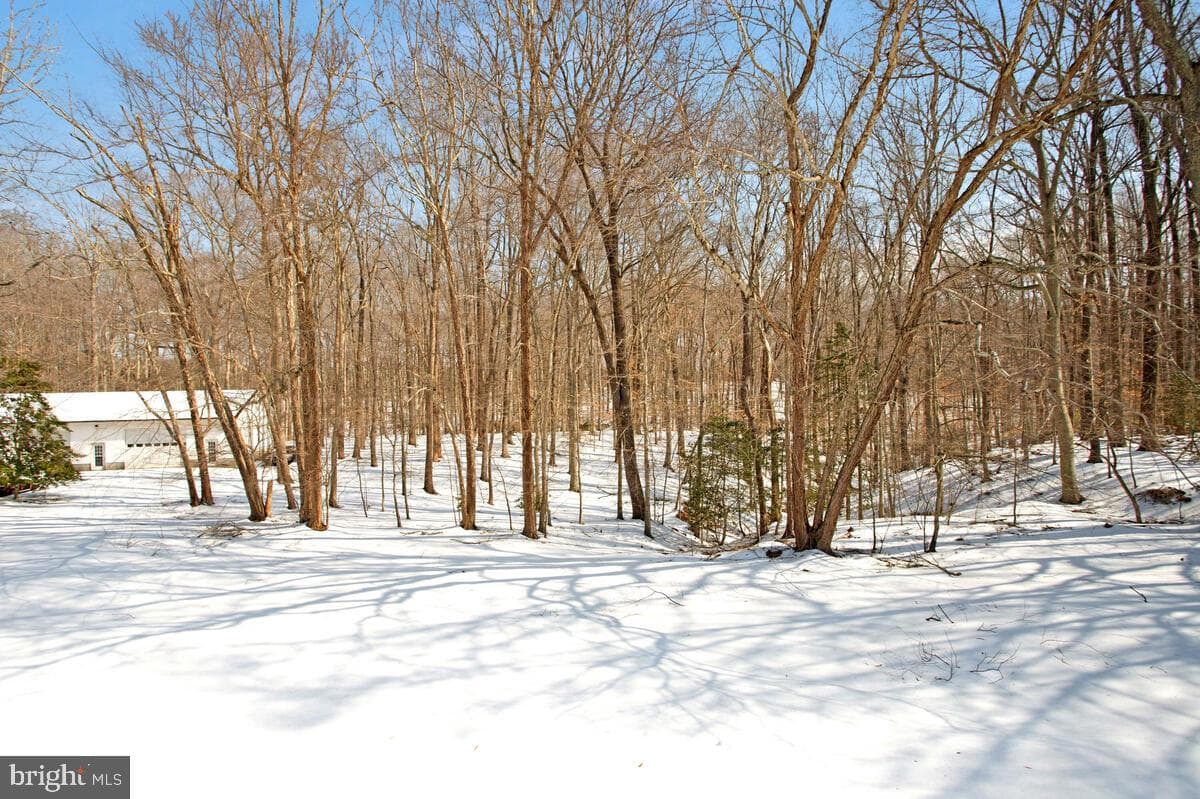 2451 Boxwood Place photo 42