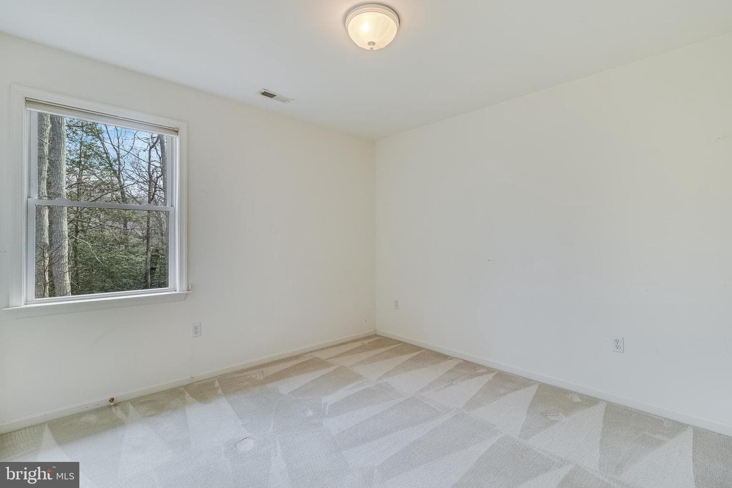 11244 Dancer Court photo 42