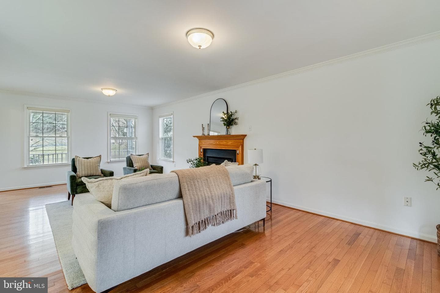 11244 Dancer Court photo 7