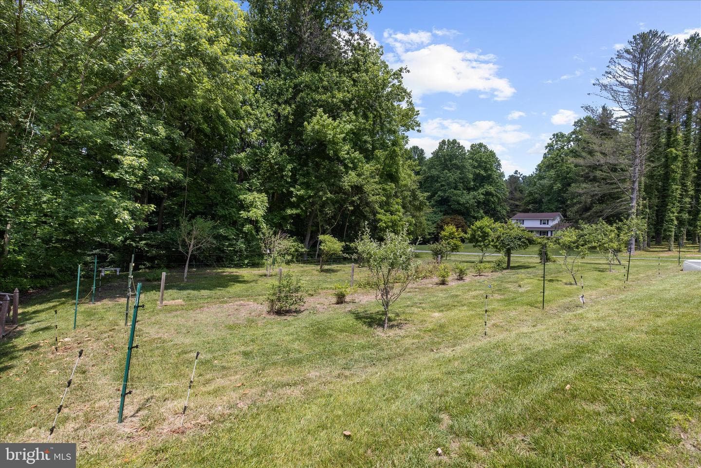 6901 Ash Court photo 68