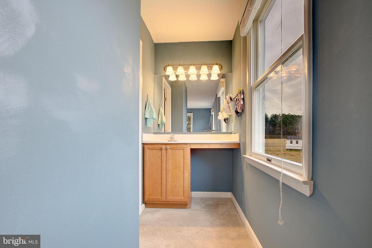 3406 Horn Road photo 27