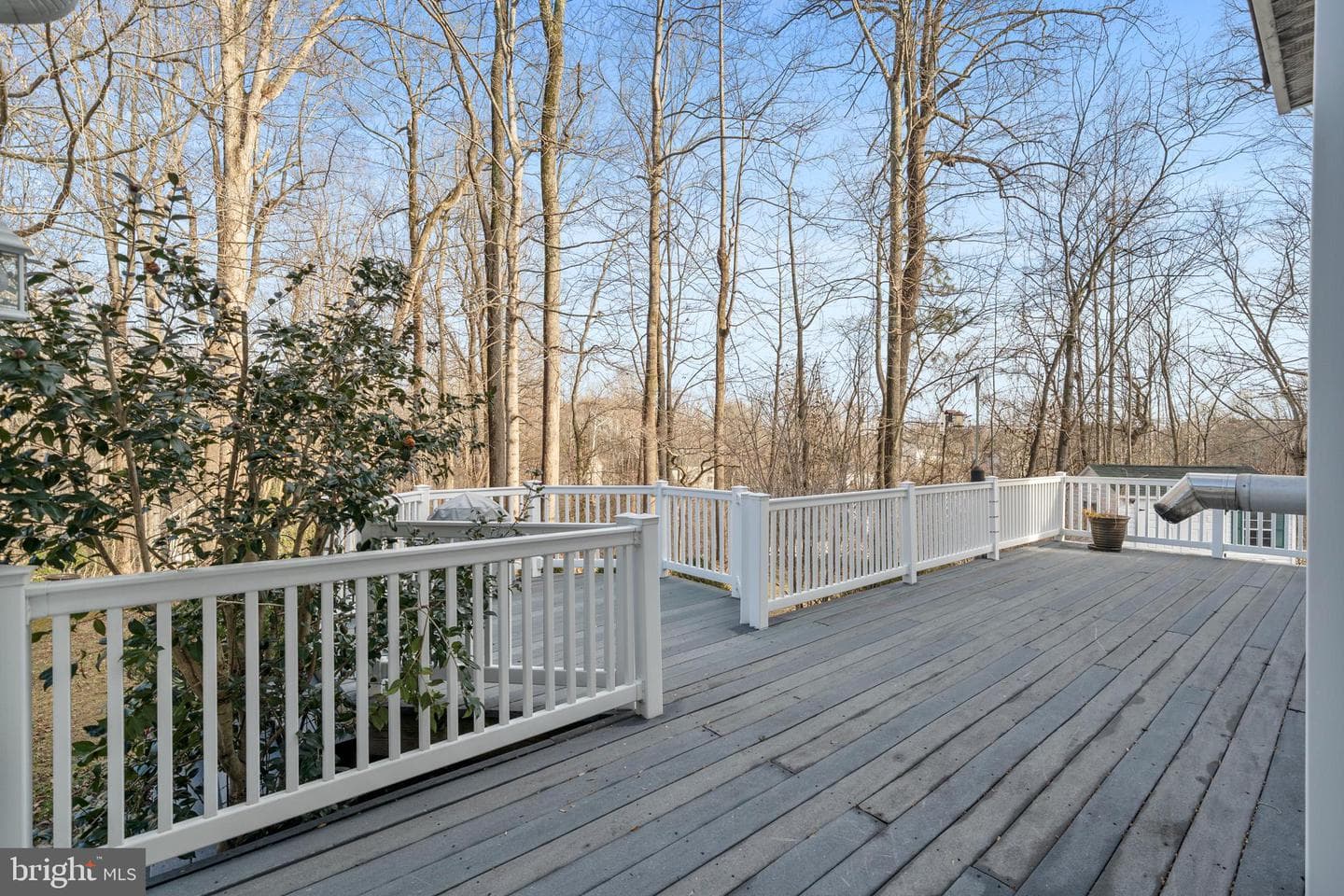1511 Larkspur Court photo 30