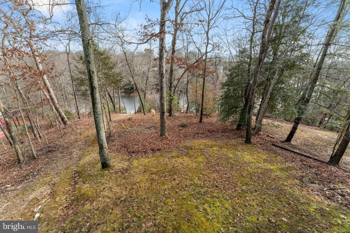 11624 Deadwood Drive photo 26
