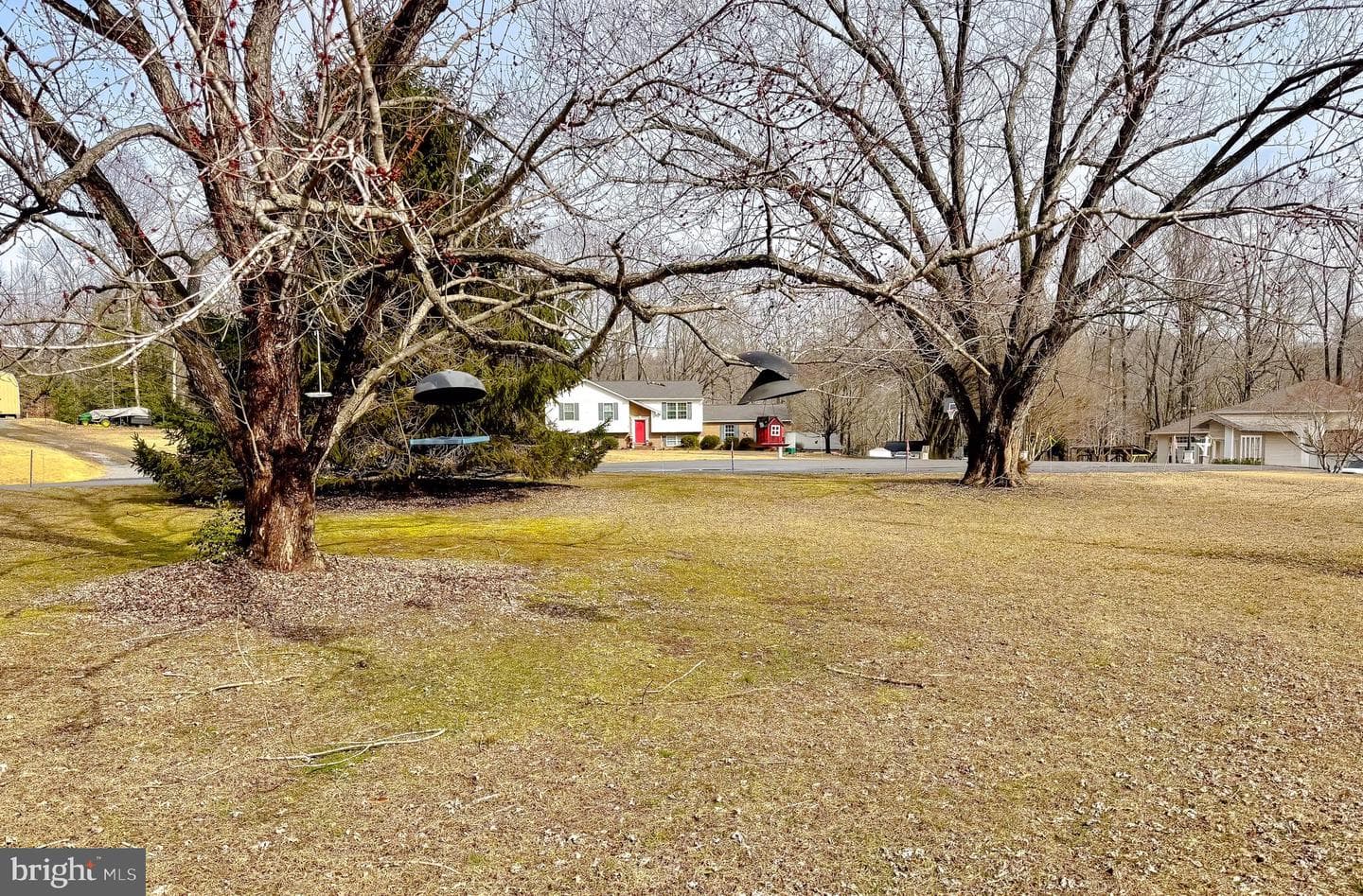 3710 Red Berry Drive photo 2