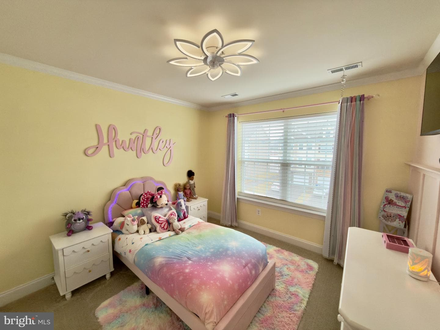 241 Sullivan Lane photo 24