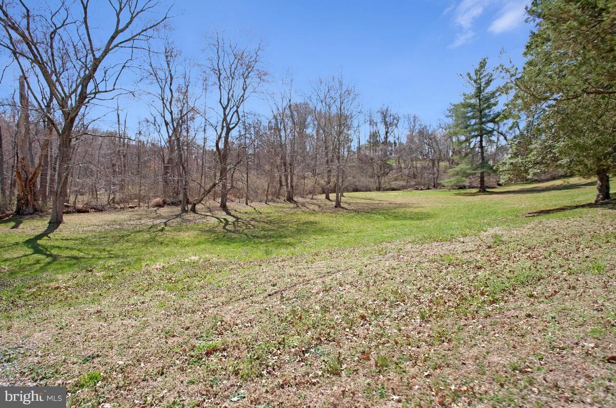 9733 Old Solomons Island Road photo 39