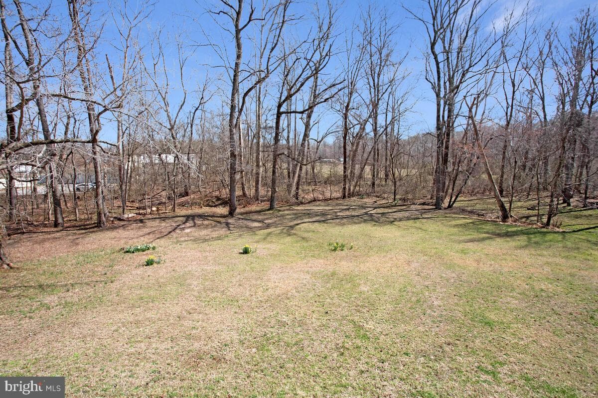 9733 Old Solomons Island Road photo 47
