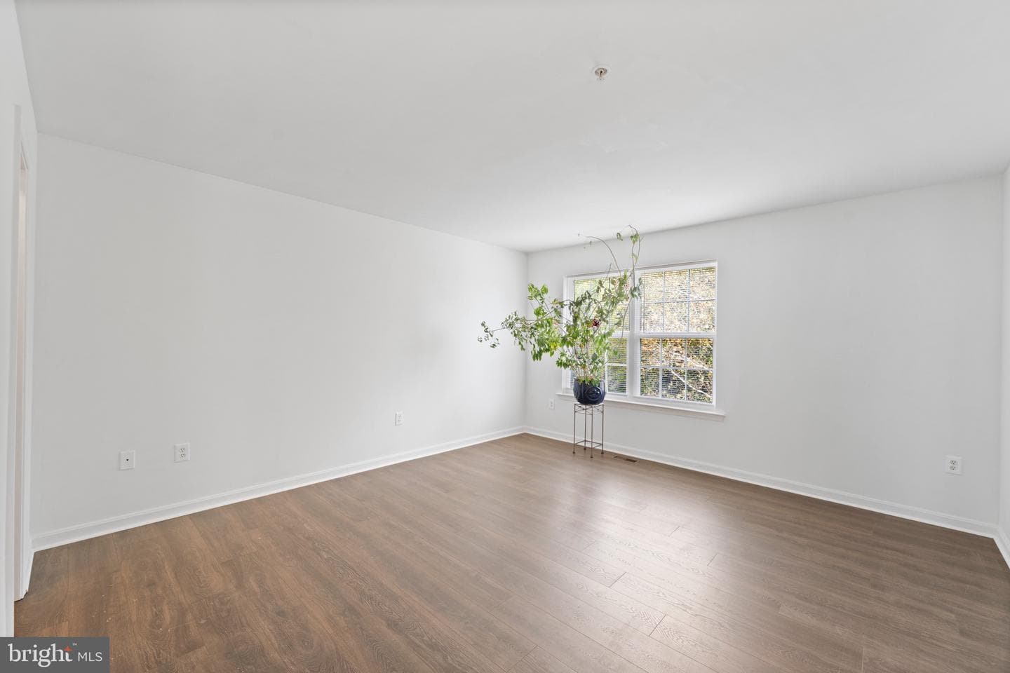 379 Cambridge Place photo 23
