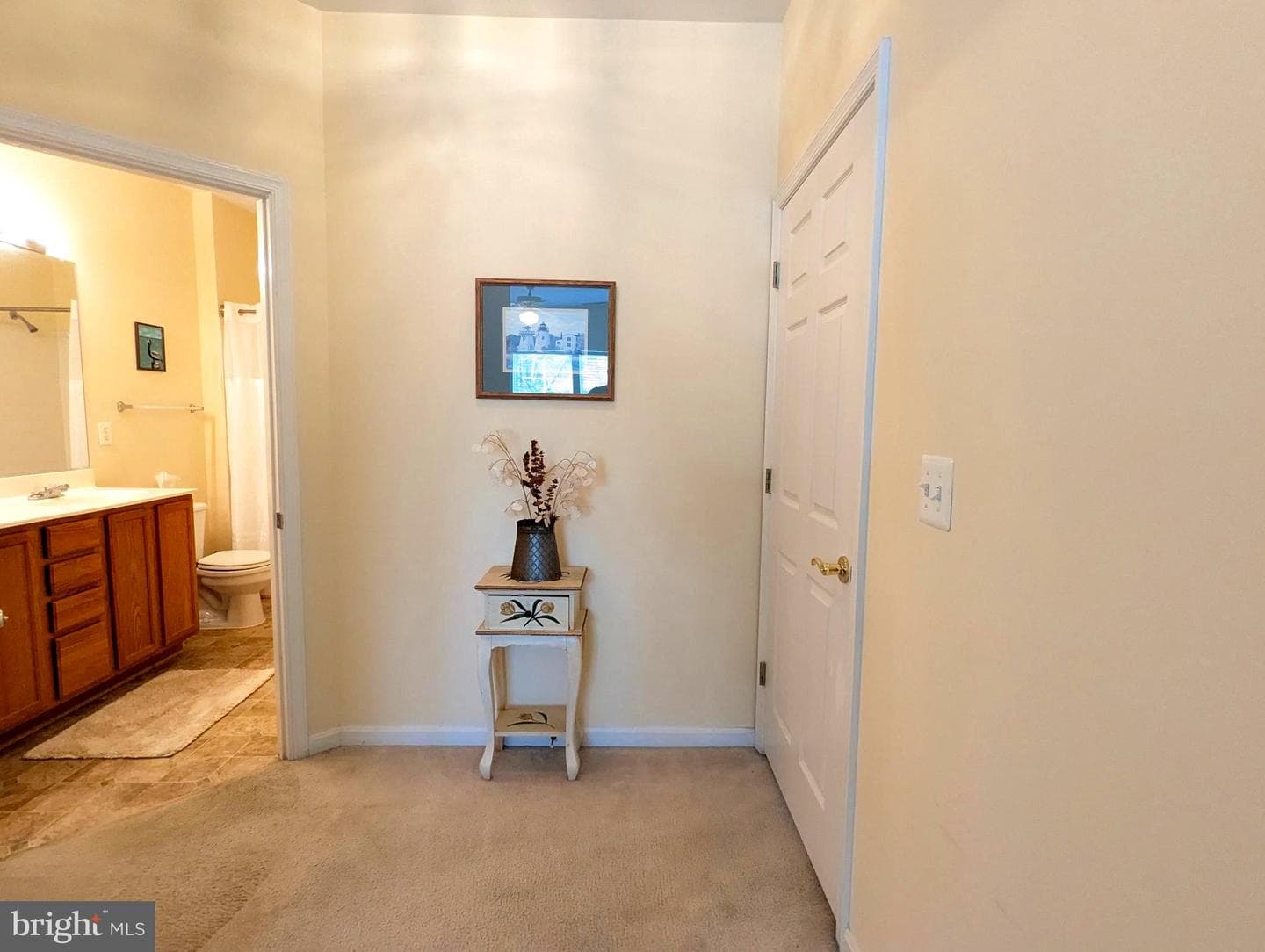 232 Driftwood Lane #232 photo 34