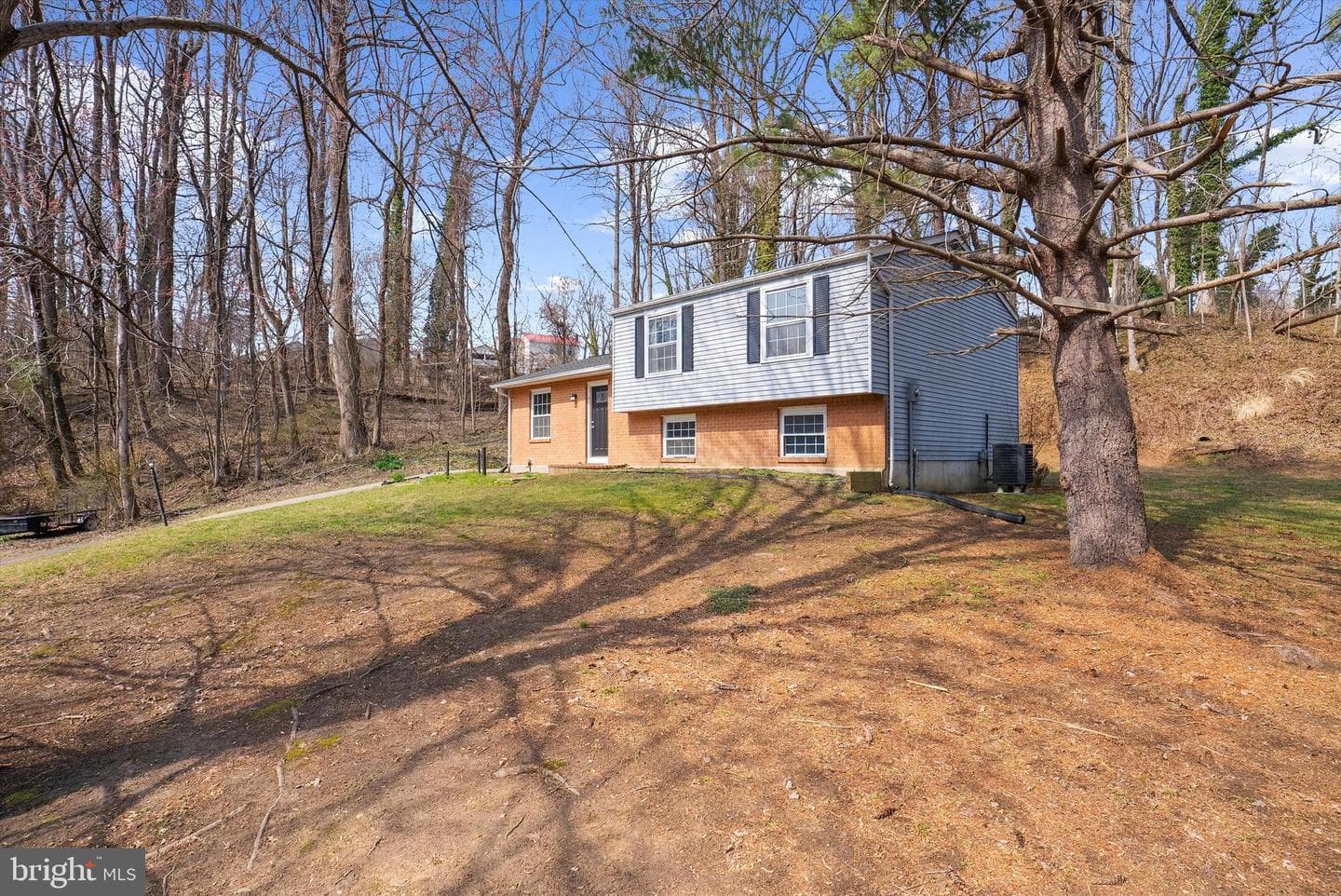 4358 Flora Avenue photo 3