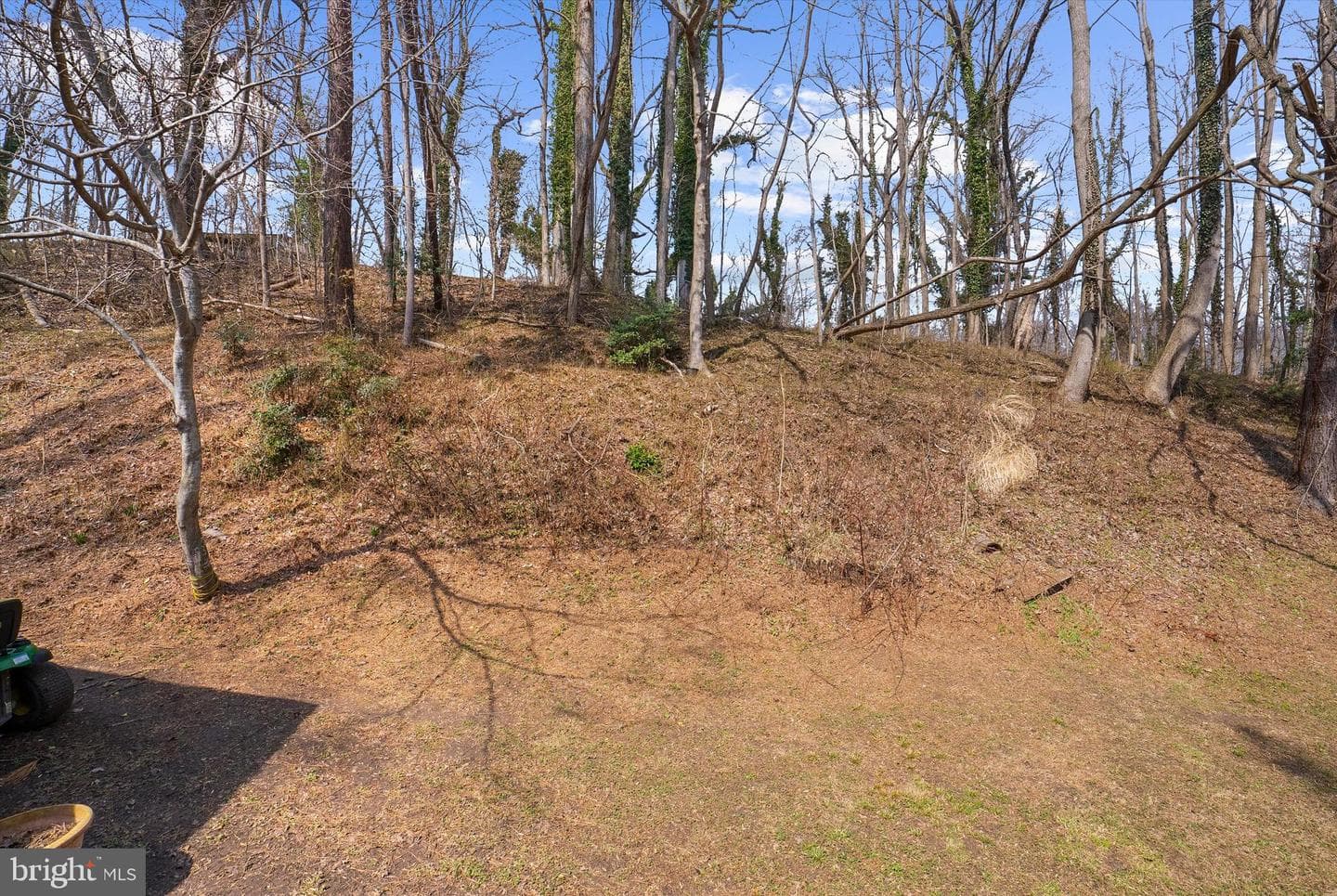 4358 Flora Avenue photo 61