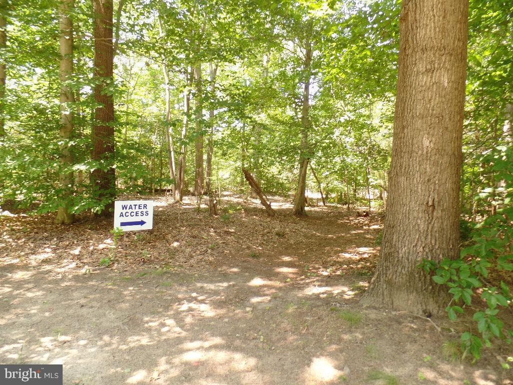 12124 Palisades Drive photo 126