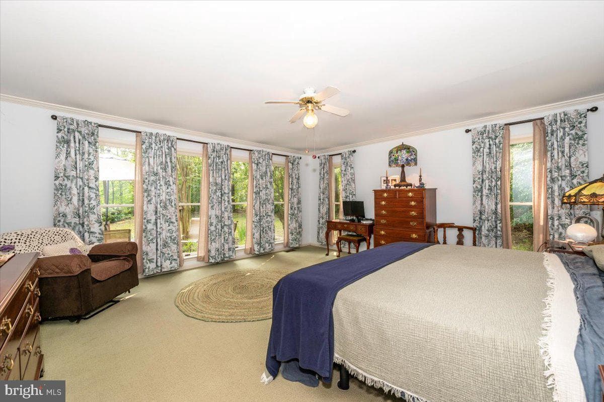 12124 Palisades Drive photo 70