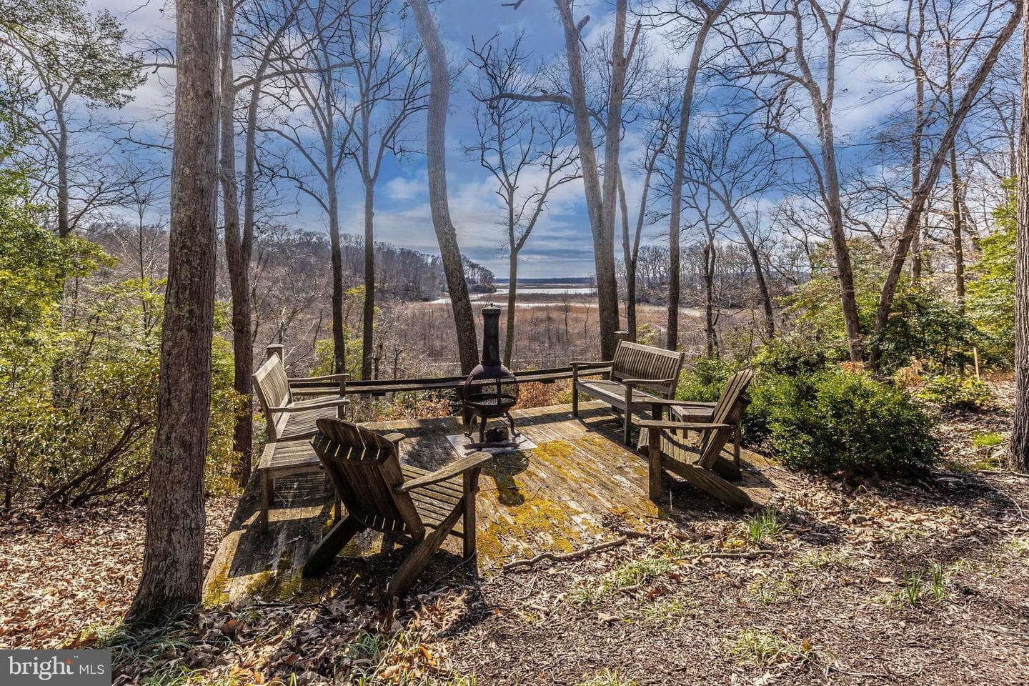 12124 Palisades Drive photo 86
