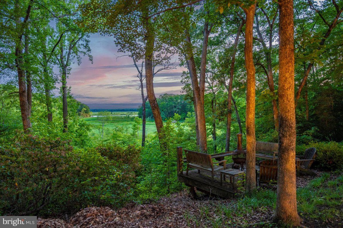 12124 Palisades Drive photo 95