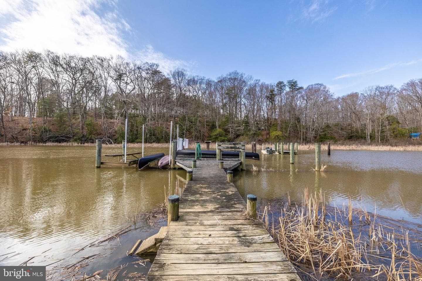 12124 Palisades Drive photo 98
