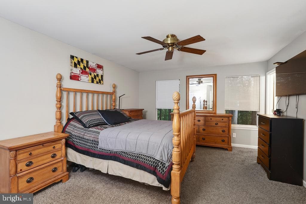 8566 Stock Drive photo 23