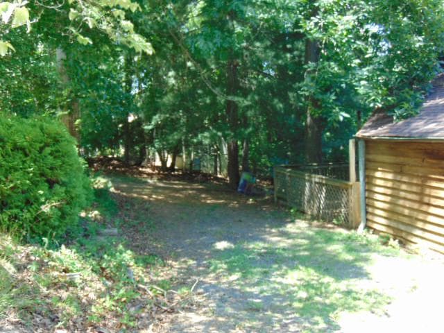 12466 Dalton Trl Trail photo 3