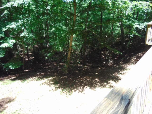 12466 Dalton Trl Trail photo 40