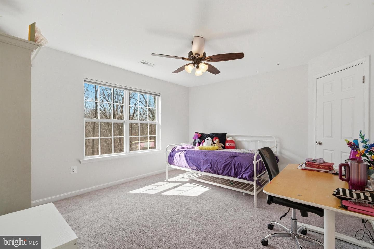 7030 Hunterleigh Drive photo 49