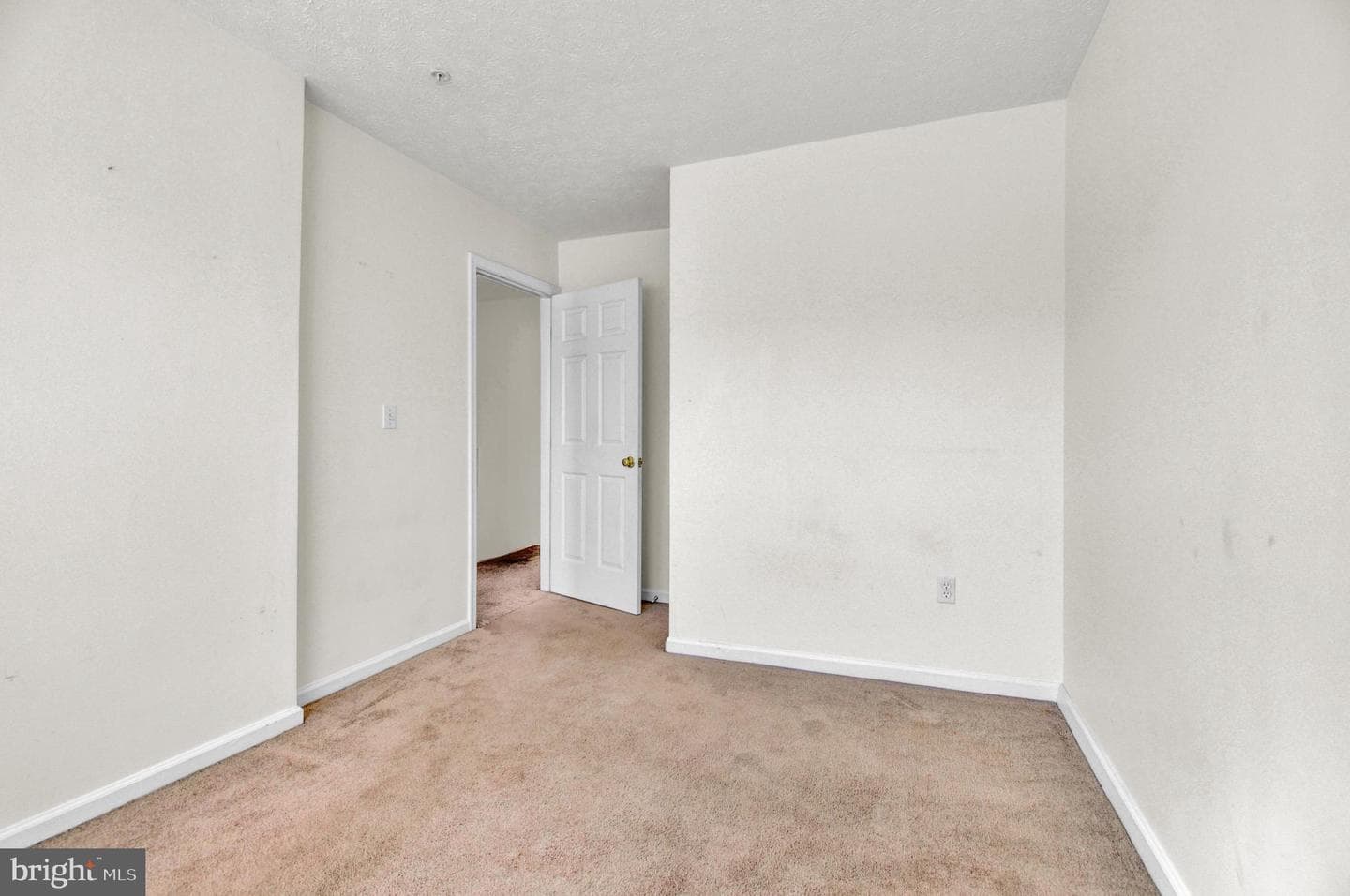 8036 Silver Fox Way photo 16