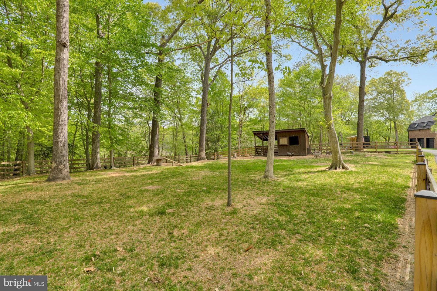 7785 Swan Lane photo 39