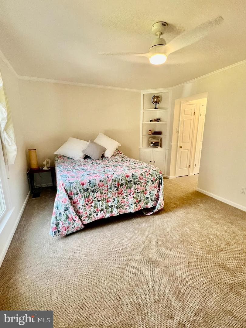 8200 Frances Lane photo 38