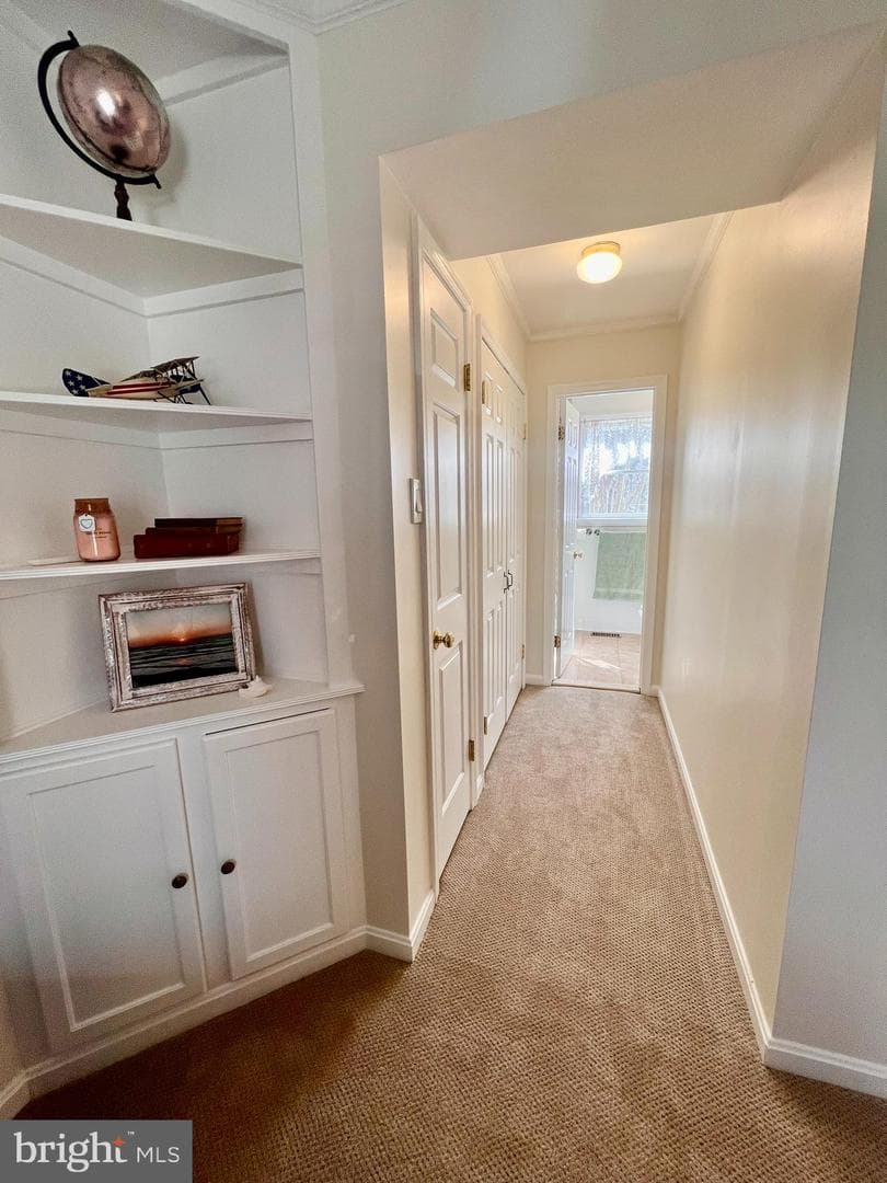 8200 Frances Lane photo 39