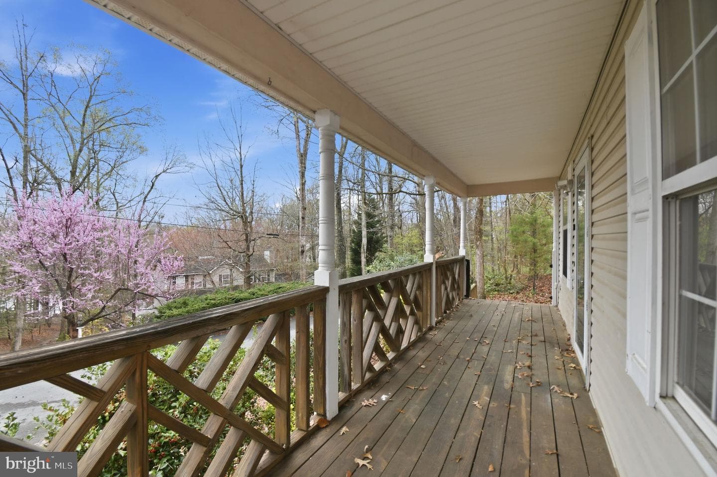 11711 Big Bear Lane photo 4