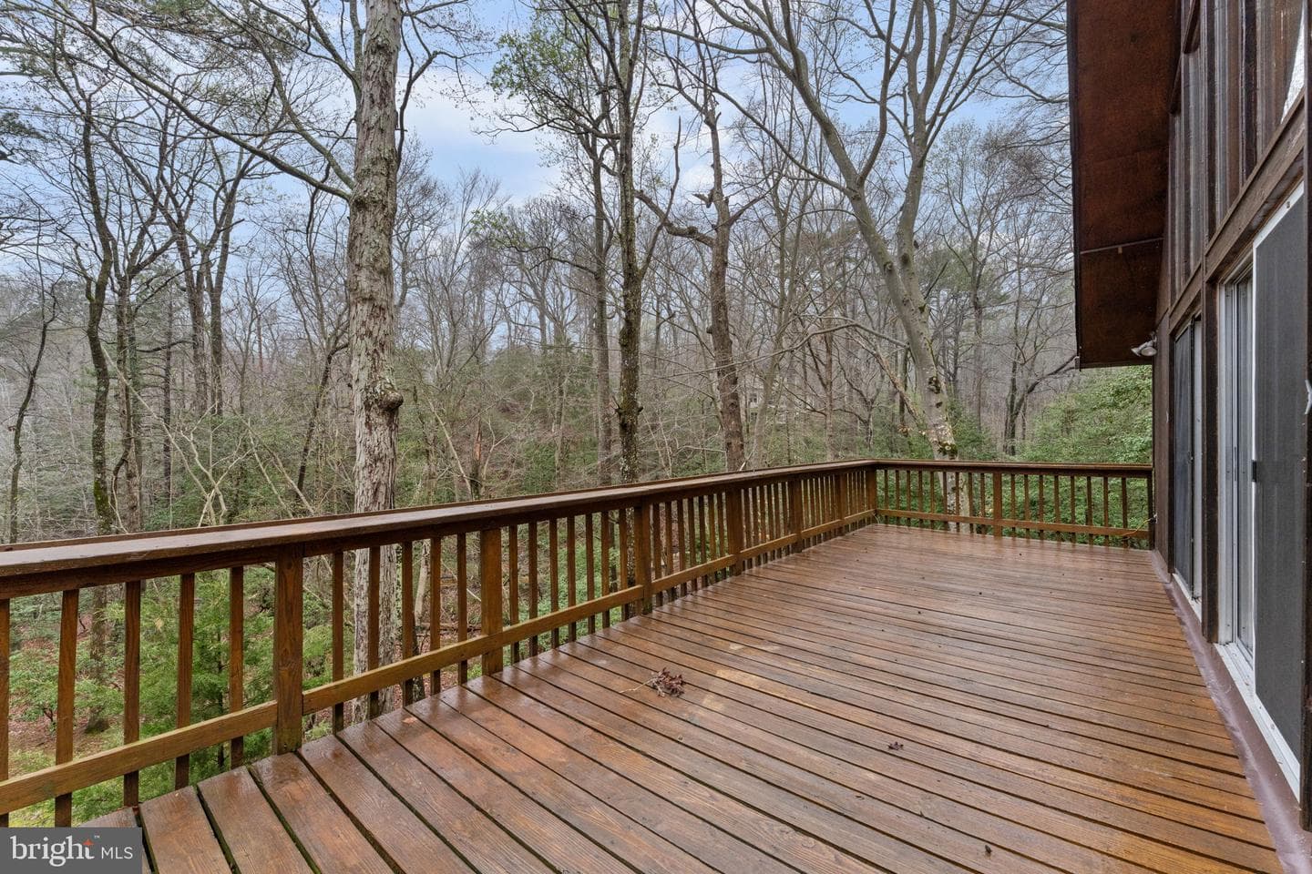 11492 Rawhide Rd photo 71