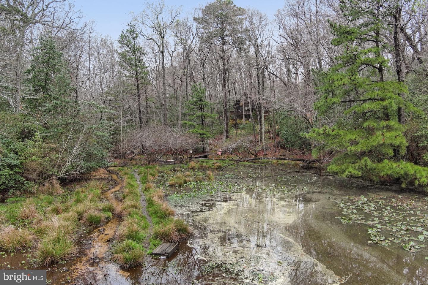 11492 Rawhide Rd photo 88