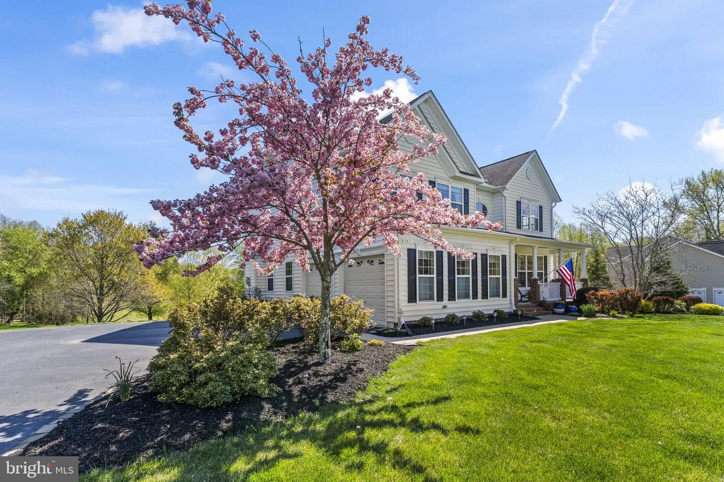 4341 Barberry Drive photo 3