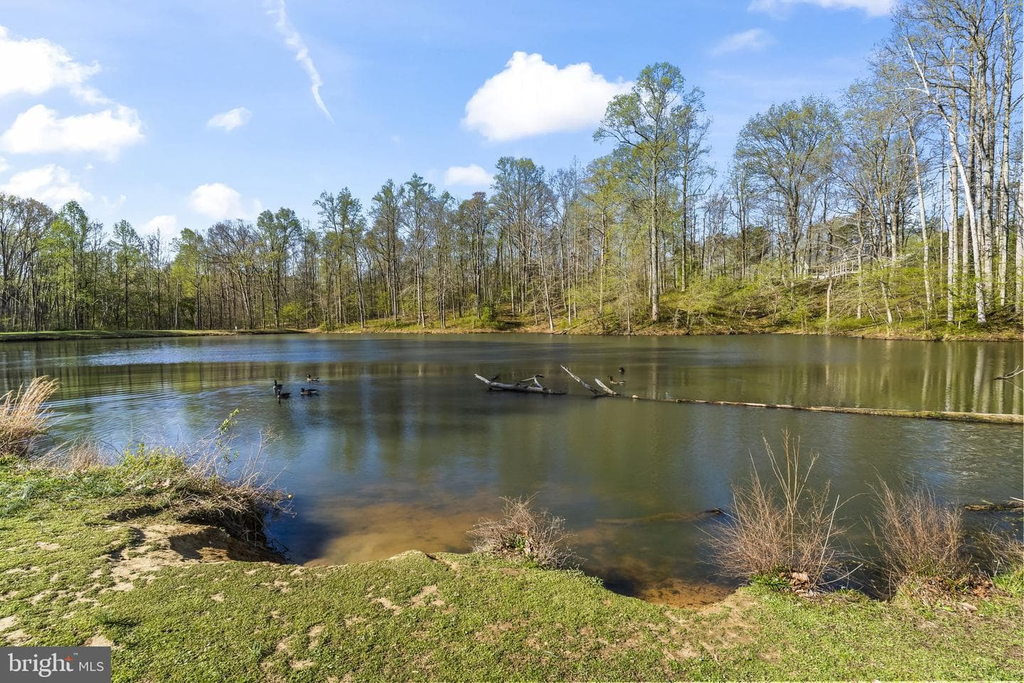 4341 Barberry Drive photo 67