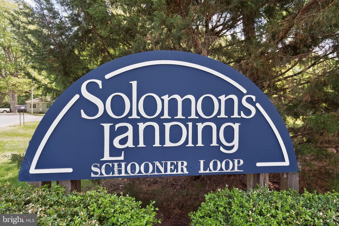 1331 Schooner Loop #1331 photo 34