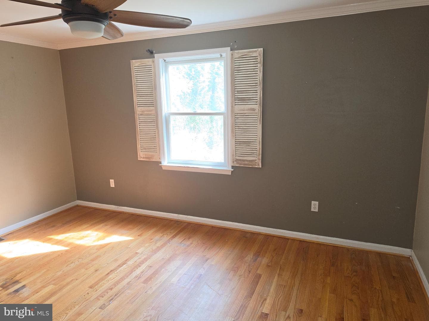 11223 Country Road photo 12
