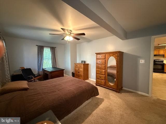 259 Sachem Drive photo 19