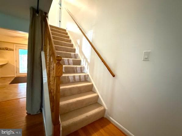 259 Sachem Drive photo 8
