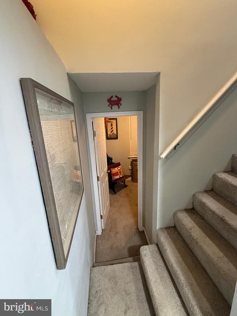 729 Spruce Drive photo 20