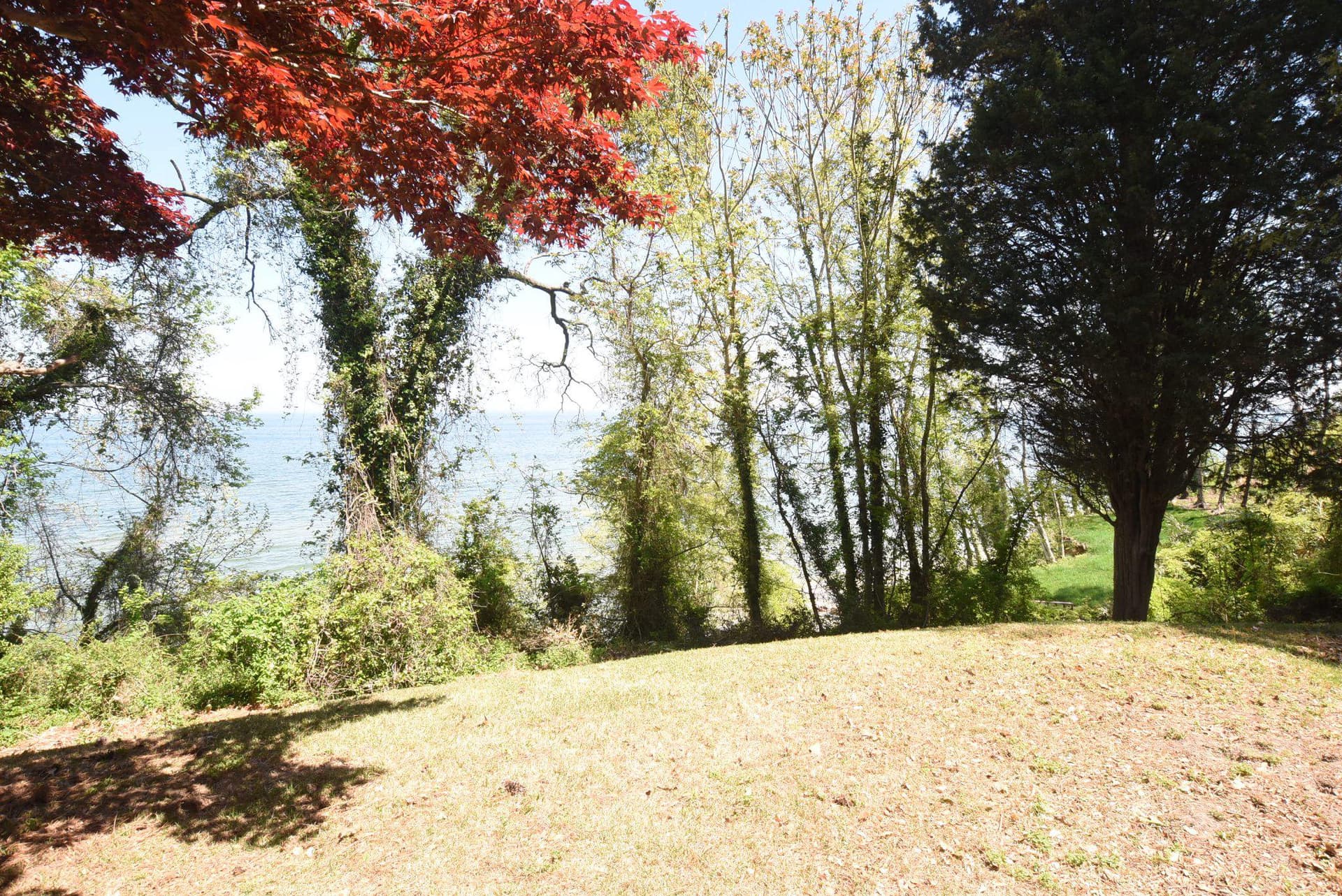 1815 Highland Drive photo 44