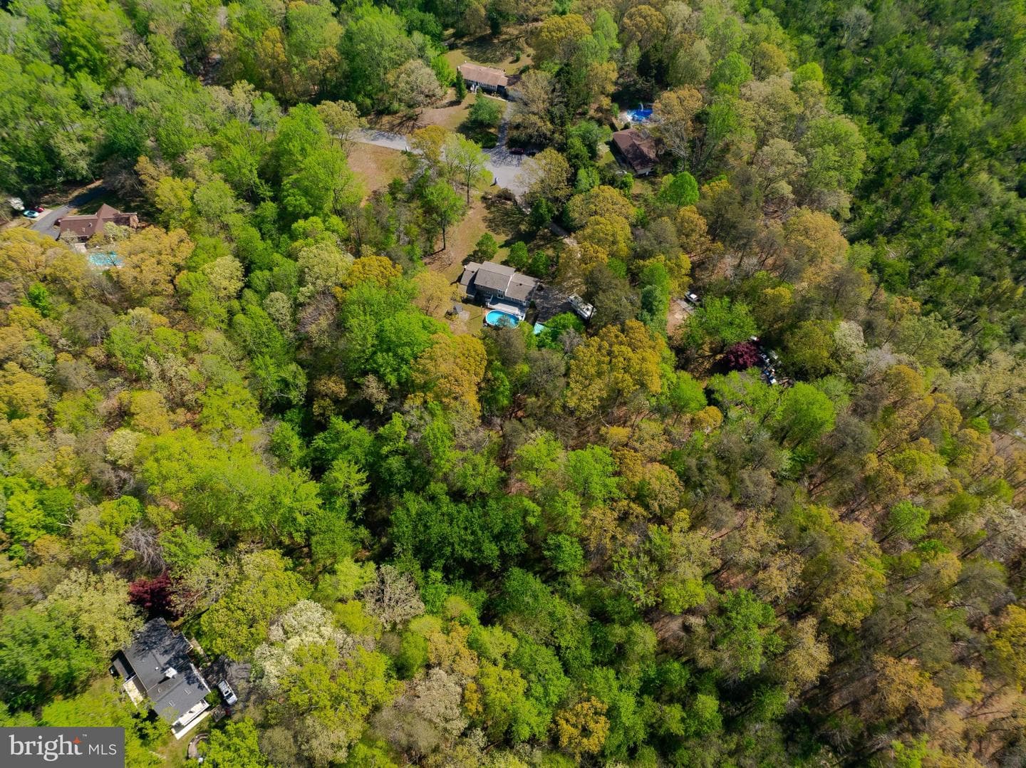 2420 Cecil Lane photo 3
