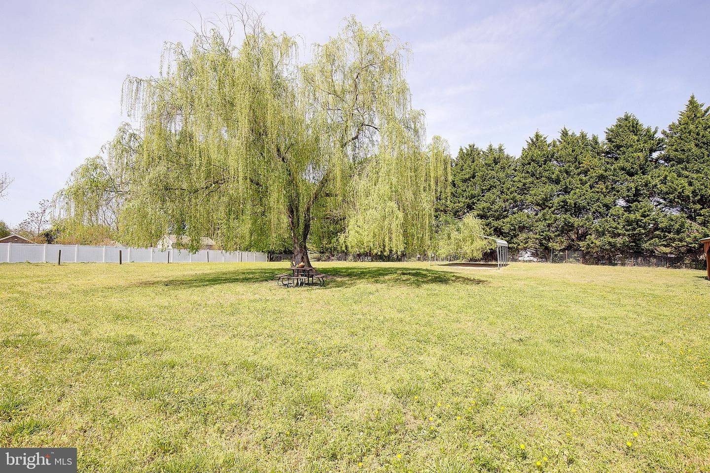 4545 Williams Wharf photo 10