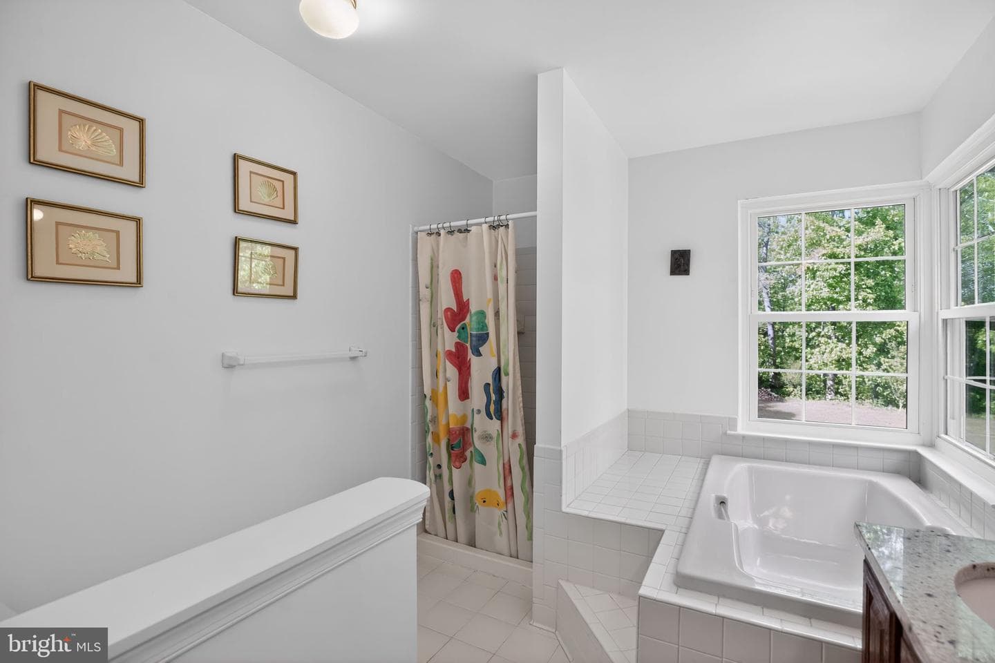 960 Dalrymple Road photo 33