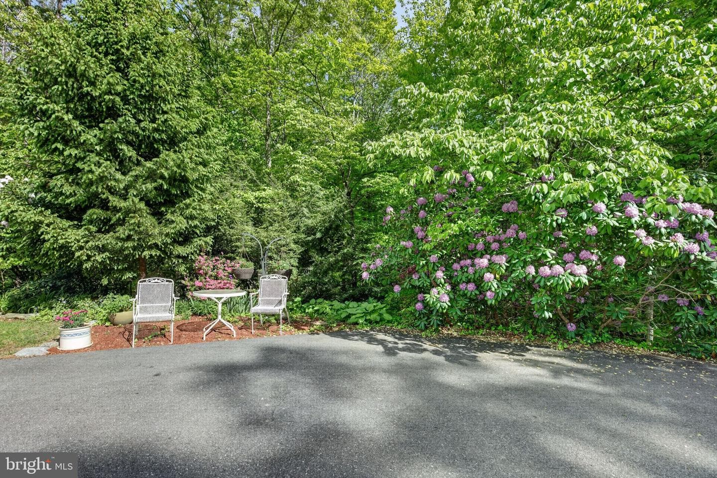 960 Dalrymple Road photo 7