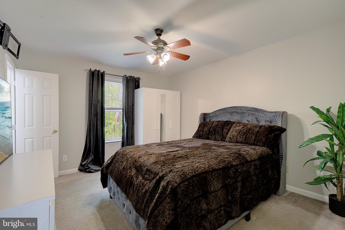 12486 Coyote Court photo 23