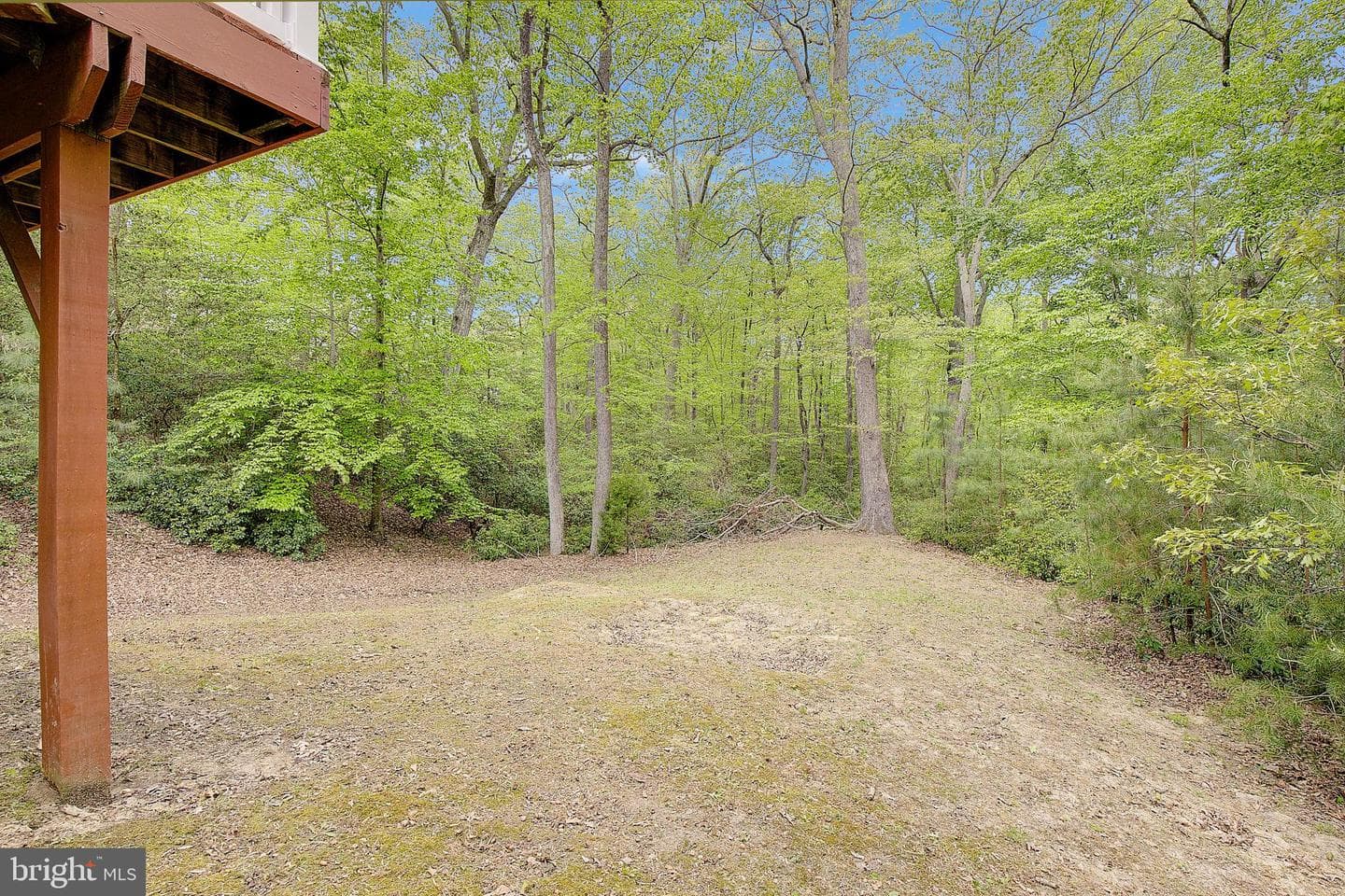 12486 Coyote Court photo 40