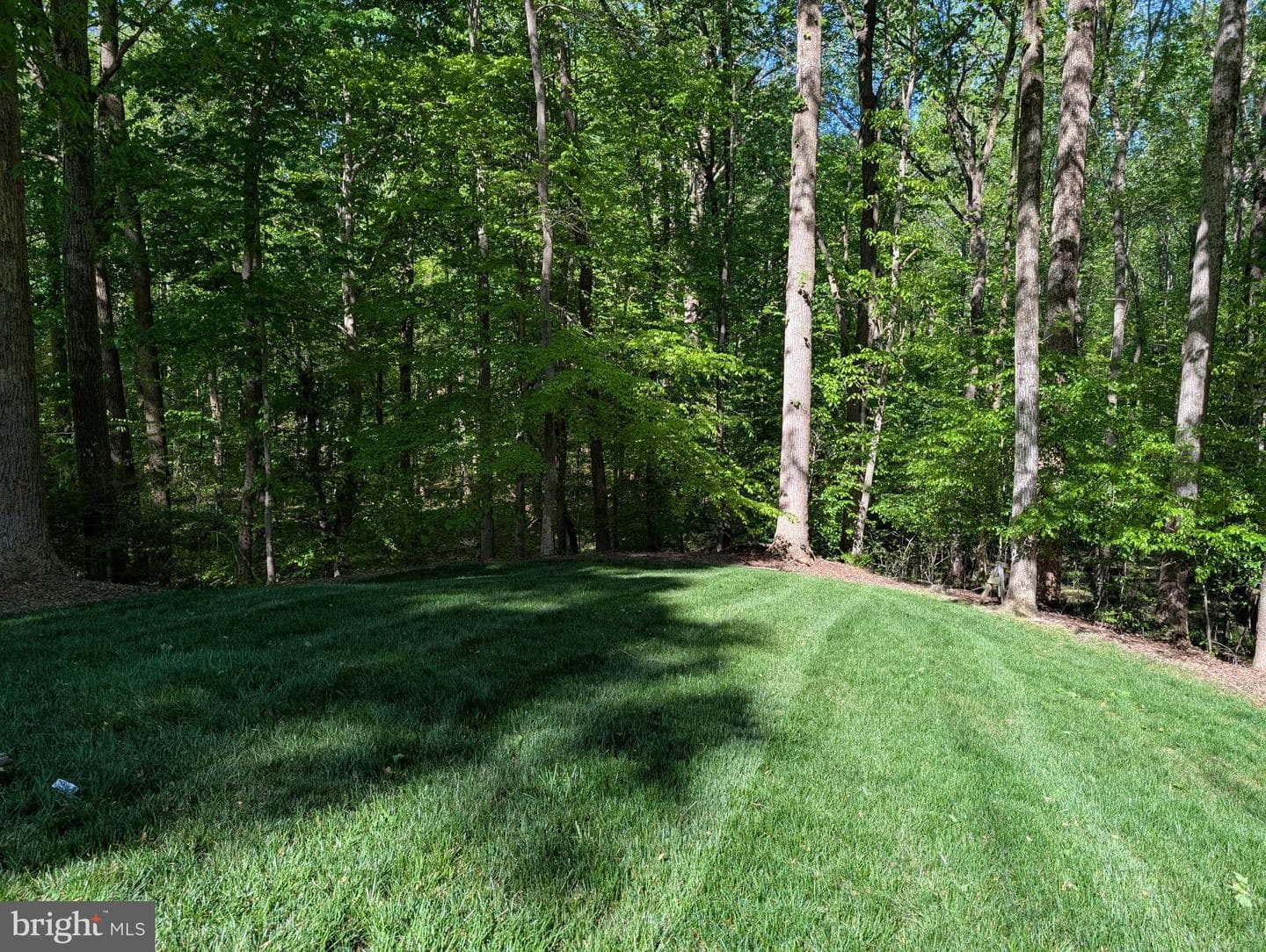 216 Walnut Creek Road photo 14