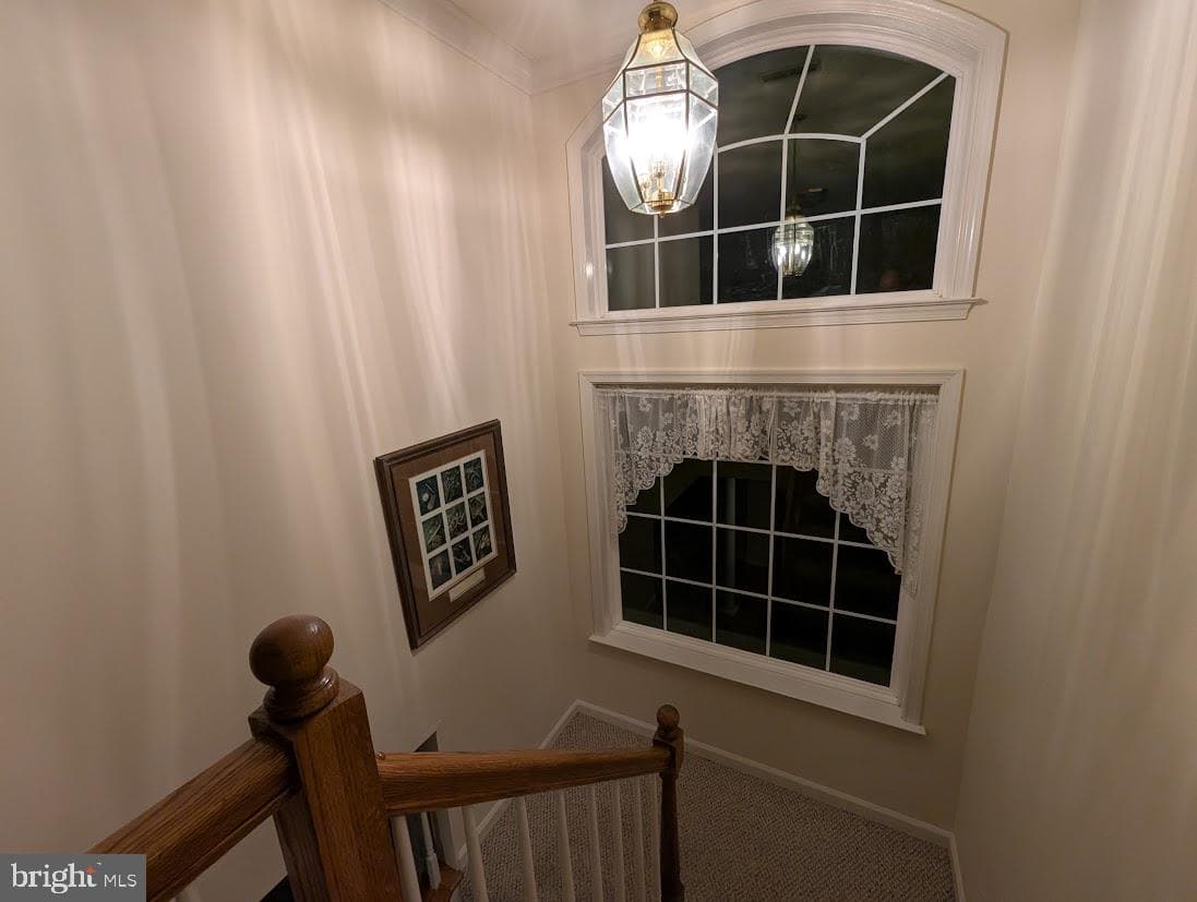 216 Walnut Creek Road photo 7
