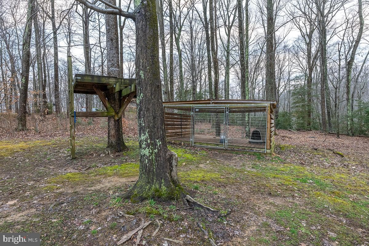5035 Timberwood Trail photo 19