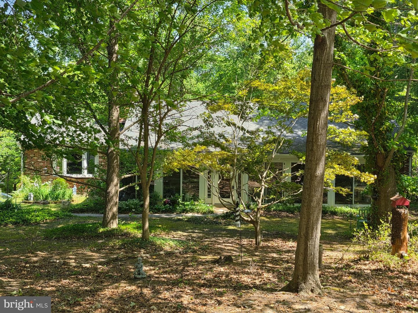 2551 Redbud Lane photo 2
